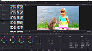 DaVinci Resolve cơ bản (Bài 1): các thao tác cơ bản để biên tập video