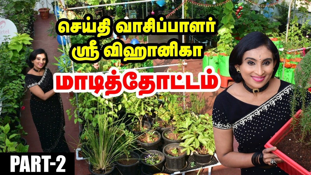 செய்தி வாசிப்பாளர் ஶ்ரீ விஹானிகா மாடித்தோட்டம் Part-2 | News Reader sri vihanika Terrace Garden