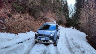 panda cross sulla neve