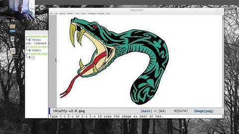Using Emacs 71 - openwith