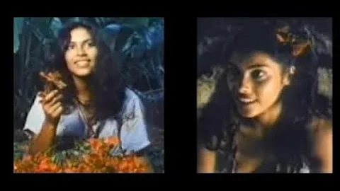 Denise Matthews (Vanity) in "Tanya's Island"  #Den...