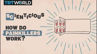 How do painkillers work? | Scienticious  Episode 4