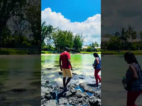 🇲🇺 Riviere Du Rempart | MAURITIUS 🇲🇺 #subscribe #like #share #comment #shorts #travel #mauritius