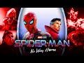 Spider-Man No Way Home 2021 MCU/Sony Review