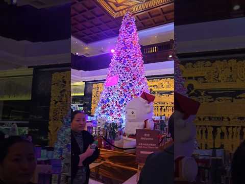 چینی ها کریسمس رو هم جشن می گیرن هتل ال ان گاردن گوانژو