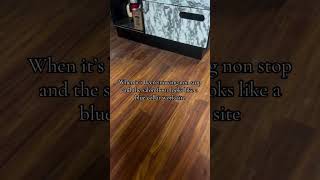 Weve Mopped A Million Times Send Help