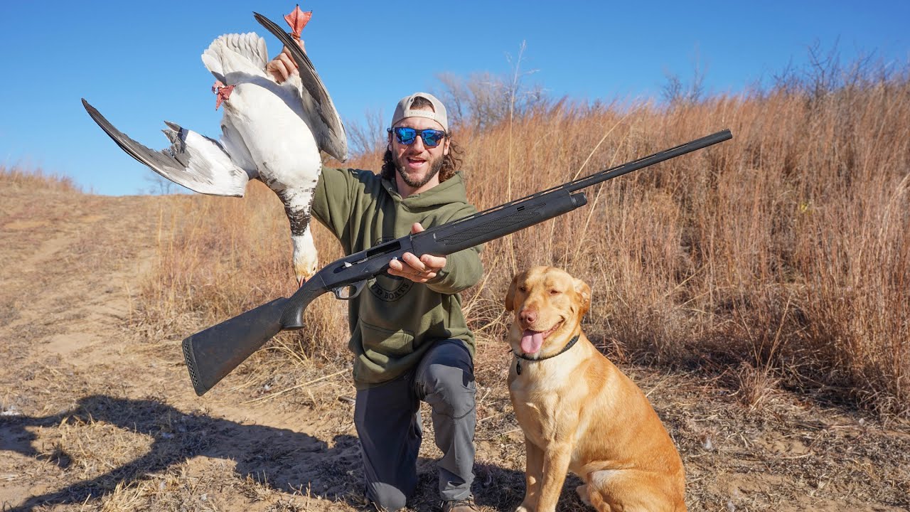Tiny 410 Shotgun Goose Hunt Challenge!! Lucky Shot YouTube