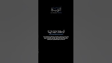 سورة التوبة الآية 42-43 الشيخ الدوسري #quran #guidance #قرآن #لايك #اكسبلور #راحة_نفسية #حالات_واتس