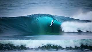 Seaside Serenity - Ocean Waves and Birds Sound Effect | No Copyright & Free to Use