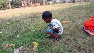 VID 20230312 WA0013