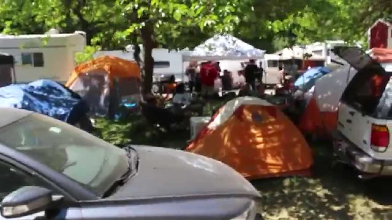 Walk Around Secret Cup Nor Cal