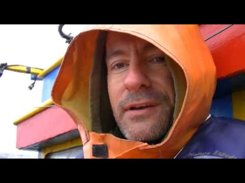 Background report 3 Liveaboard with dolphin killers