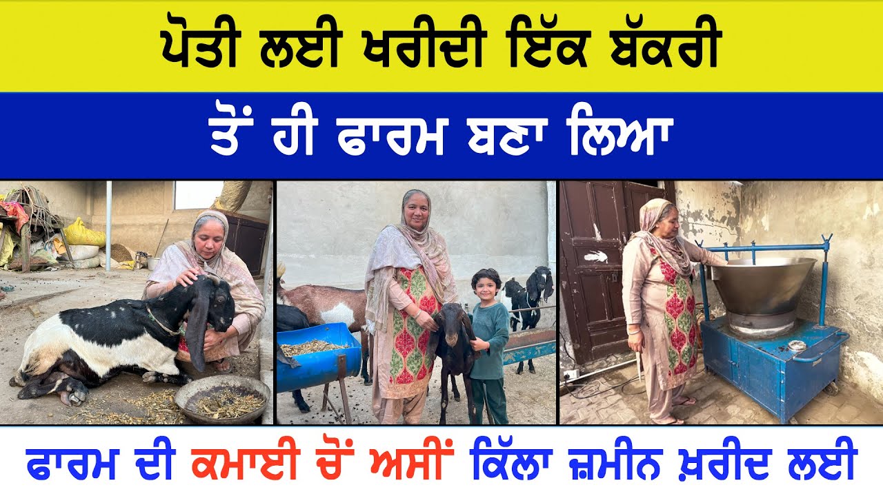 ਸਾਡਾ ਬੱਕਰੀ ਦੇ ਦੁੱਧ ਦਾ ਖੋਆ ਵਿਦੇਸ਼ਾਂ ਵਿੱਚ ਵੀ ਵਿਕਦਾ ਹੈ