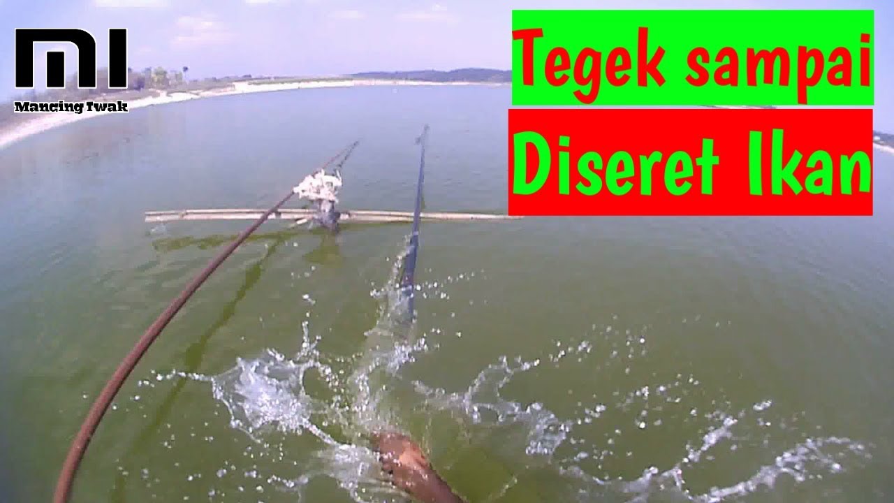 Ikan di Waduk Pondok Ngawi GANAS...! | Mancing Ikan Nila Umpan Lumut