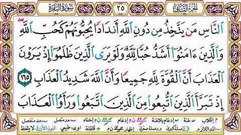القرآن الكريم مقسم إلى أجزاء ｜ الجزء 2 مكتوب ｜ مقسم صفحات ｜ الشيخ حاتم فريد ｜ مصحف التجويد الملون