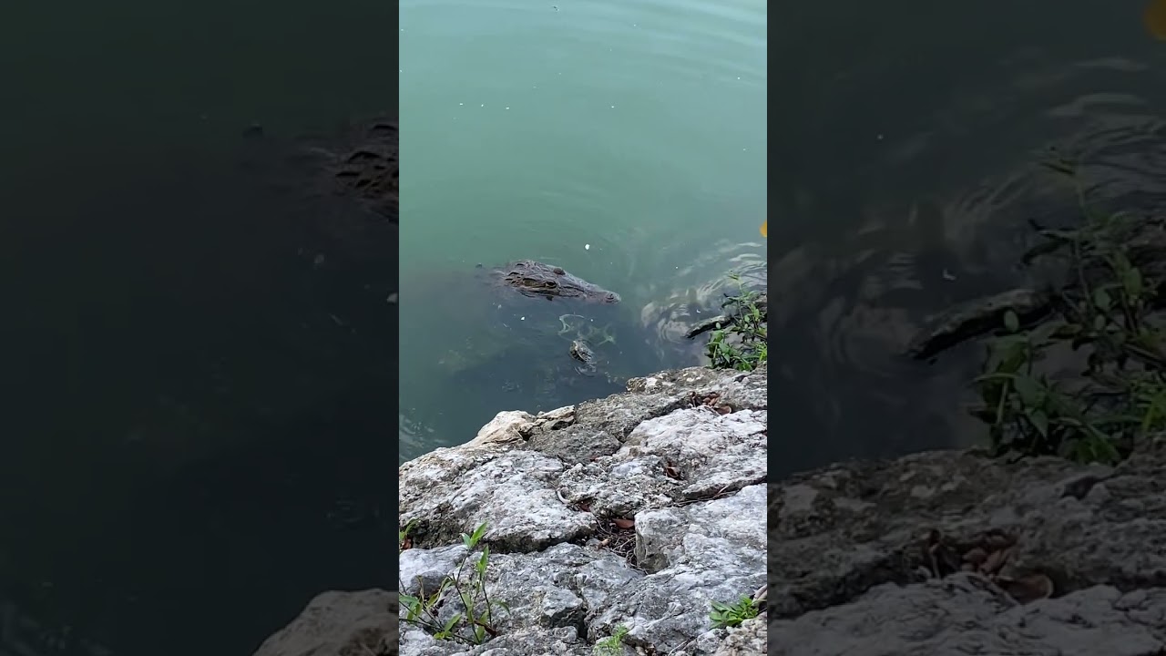 Un Paseo por el parque tomas garrido ￼ de Villahermosa, Tabasco 