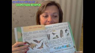 Кто такие Голуби?