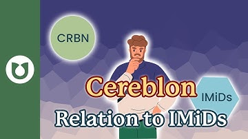 What is cereblon and how is it related to IMiDs? #myeloma