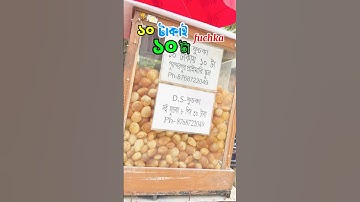 #lishasamajdermua #minivlog #bongpizza #musicgenre #food #exclusivelook #musicsong #travel