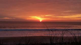Rising to New Heights | Friday, May 1, 2026 | Ocean Sunrise Studio ☀️💛🌊