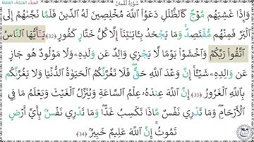 سورةُ لُقْمانَ (32 - 34) عبد الرحمن شاهين