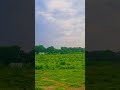 saiyaara is a feeling of all pure hea#trending #viral