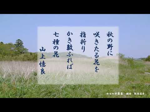 【今日の万葉集】8月6日明日はもう立秋だという！6日原爆の日そして猛暑だというのに・・・あまり暑いのでせめて秋の七草を。七草が何かは明日に取っておきますね。