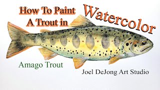 How To Paint Trout in Watercolor (Amago Trout painting tutorial / Demo)