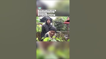 salah satu resep untuk panjang umur selalu konsumsi daun sirih setiap hari #shorts #kangdedymulyadi