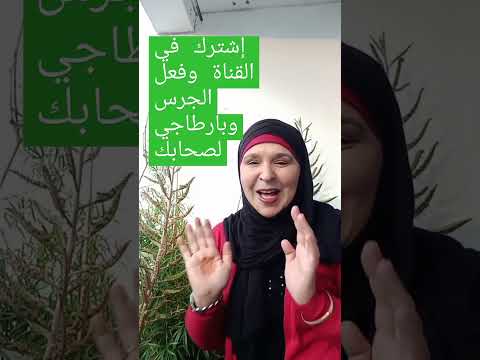 كلام ومعاني ناس زمان الثح يوصل والكذب يحصل