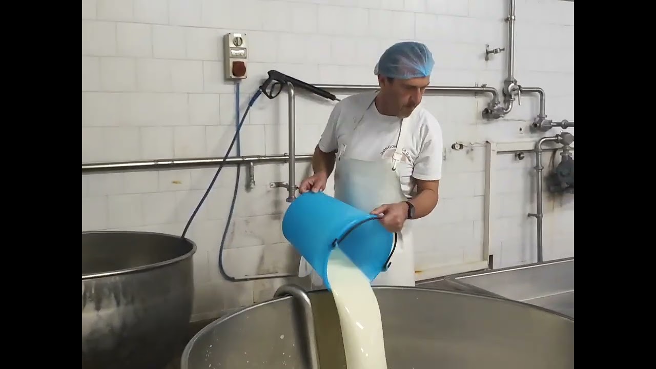 Mauro Vagadore, L' artigiano del Gorgonzola dolce D.o.p. 