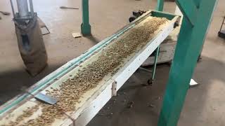 Groundnut sorting Machine #Sorting machine manufacturer #color Sortex manufacture in India