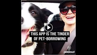 People are going crazy over this Pet App screenshot 2