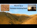 Shorts Ep.3 | Summer Evening Hunt (Cinematic Drone Footage)