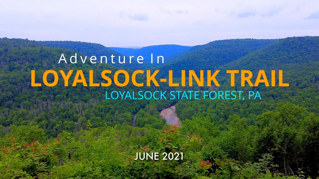 LoyalsockLink Loop Loyalsock State Forest PA YouTube