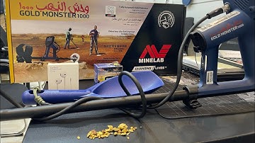 Gold monster 1000 #metaldetecting #gold #mining #shortvideo #shortsfeed #shorts #prospecting #part2