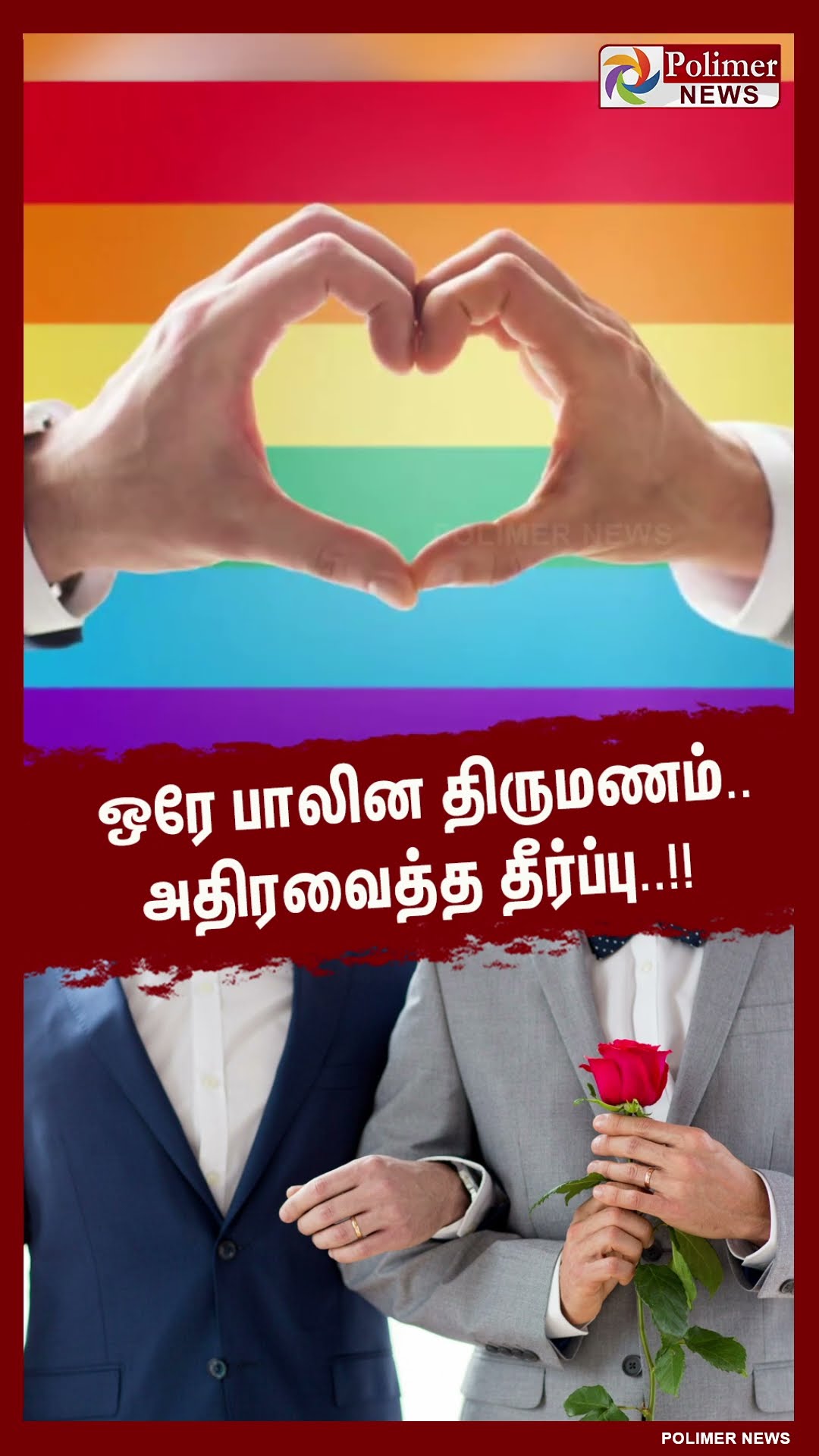 ஒரே பாலின திருமணம்..அதிரவைத்த தீர்ப்பு..!!  #shorts