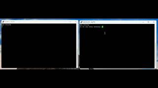 Demonstrate Telnet to Serial interface