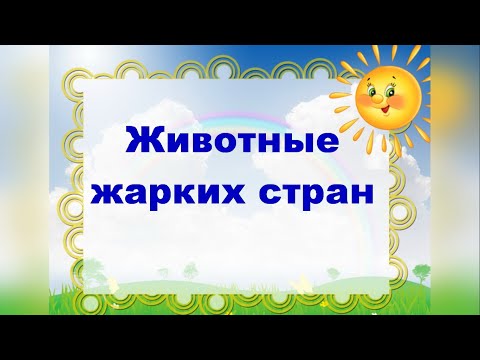 Животные жарких стран