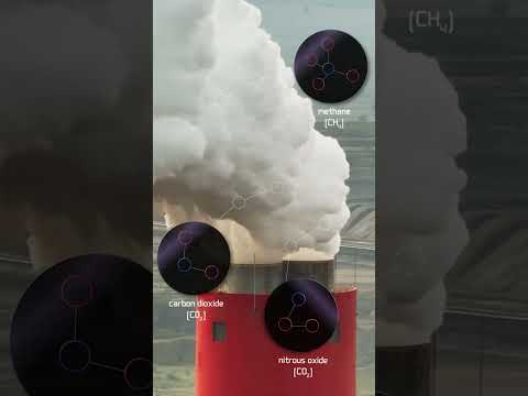Climate Change| Effects | FuseSchool #climatechange #shorts #reels Instructional Video Climate Change| Effects | FuseSchool #climatechange #shorts #reels Instructional Video