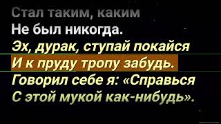 Дурак Князь караоке