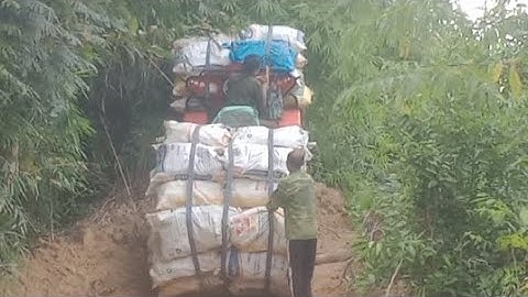 Saib lub tseb thauj qos yuav ntxeev thiaj txau ntxai khawg li