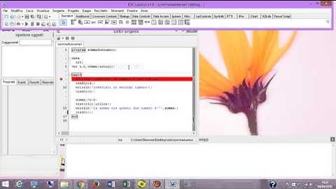 IL DEBUGGER IN LAZARUS