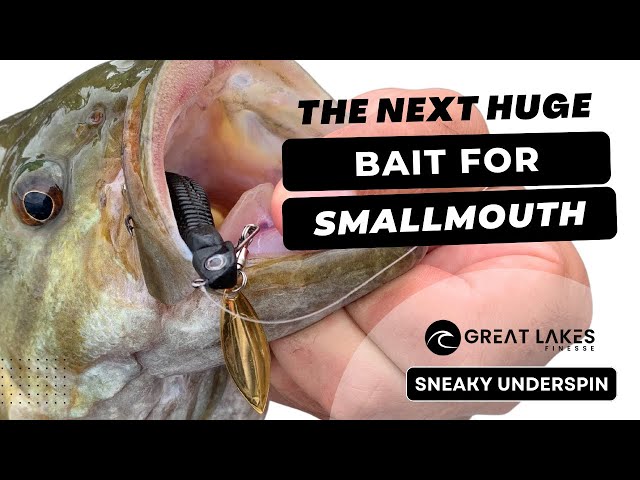 Next big SECRET BAIT top SMALLMOUTH anglers don't want you to know