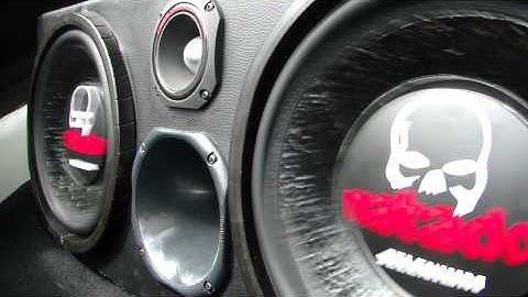 Selenium Matador 12° 600W RMS