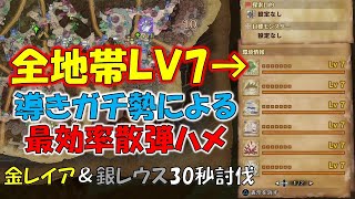 Mhwアイスボーン 導きの地で全地帯lv7は可能 ただし途方もない時間が必要