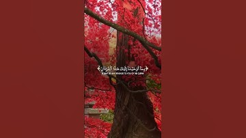 تلاوة هادئة لسورة يوسف تريح القلب 🌺قرآن كريم - تلاوات خاشعة