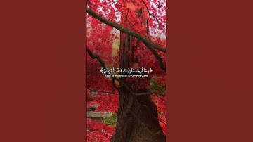 تلاوة هادئة لسورة يوسف تريح القلب 🌺قرآن كريم - تلاوات خاشعة