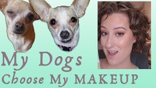 My CHIHUAHUAS Choose My Makeup!