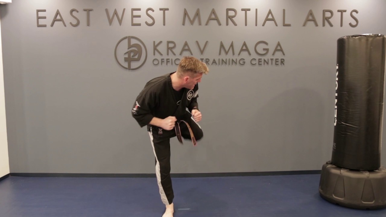 Daily Dojo East West Martial Arts Day 37 YouTube